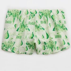 Aerie x Wicked Seersucker Boxer Shorts - Medium (M) Elphaba Green